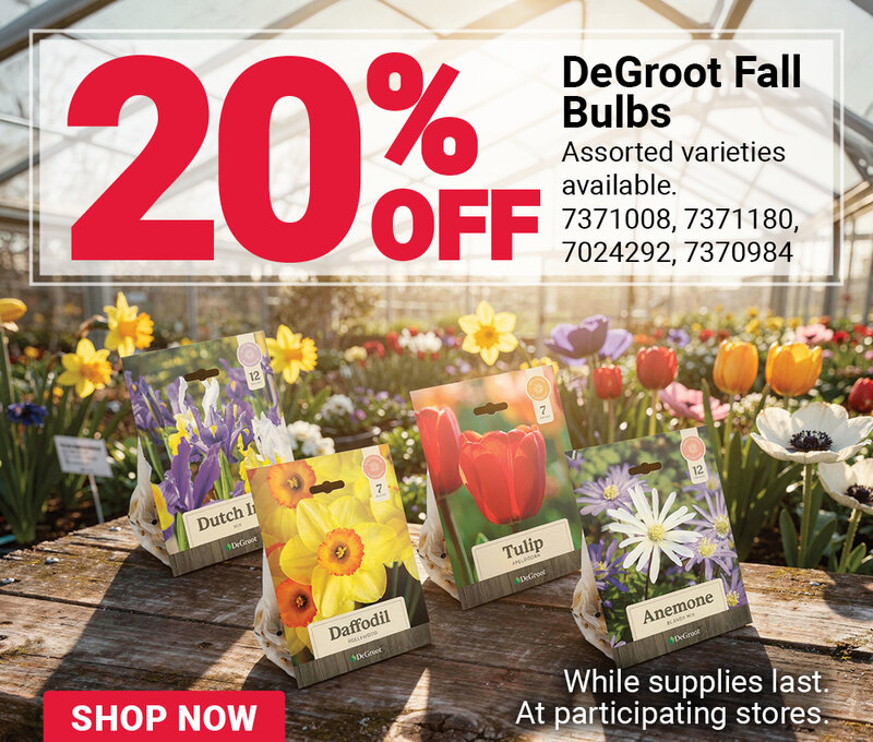 DeGroot® Fall Bulbs