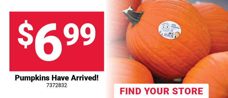 Pumpkins Have Arrived!
