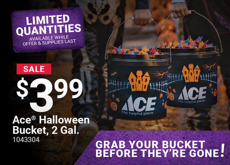 Ace® Halloween Bucket